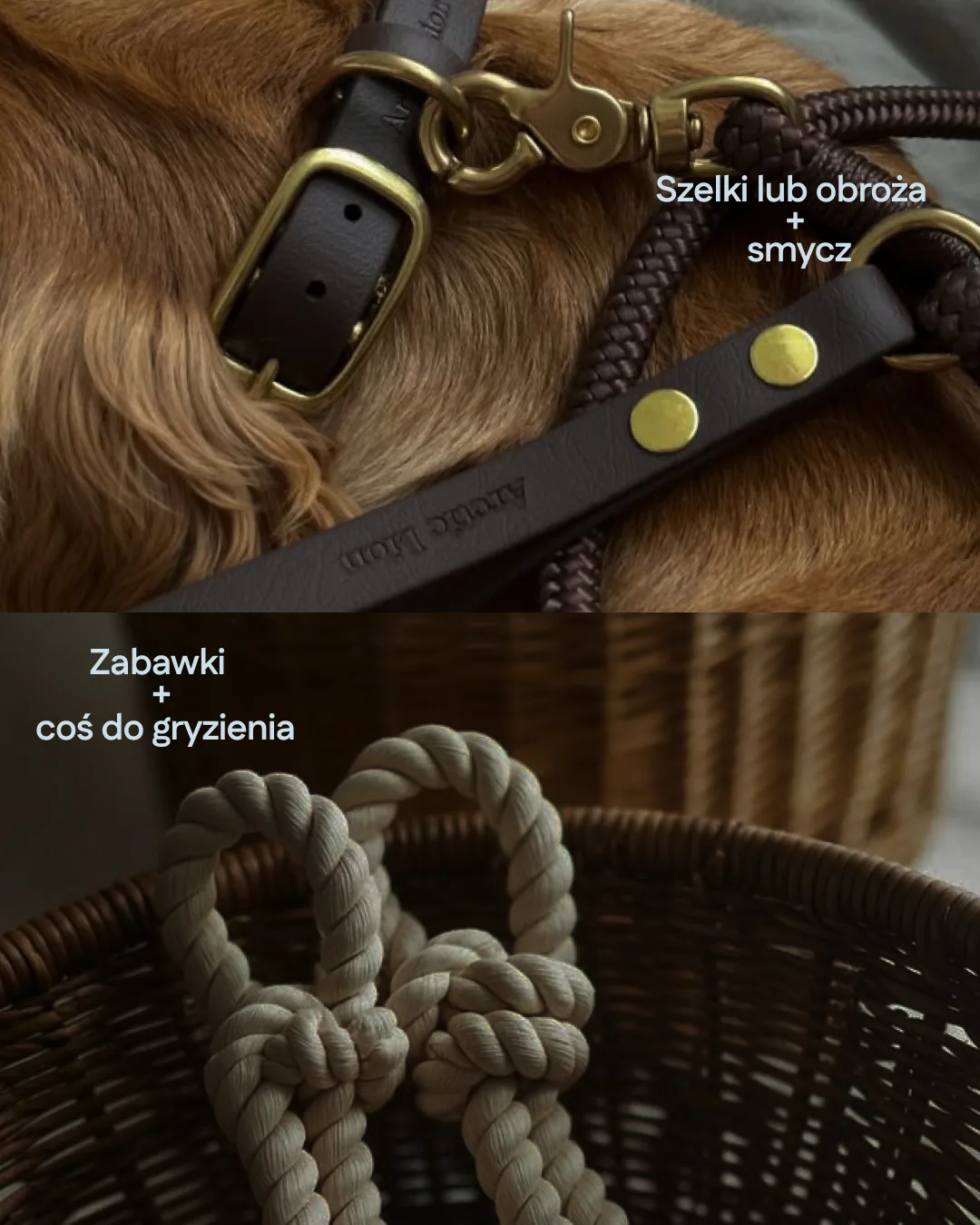 Szelki, smycz i zabawki do wyprawki dla szczeniaka