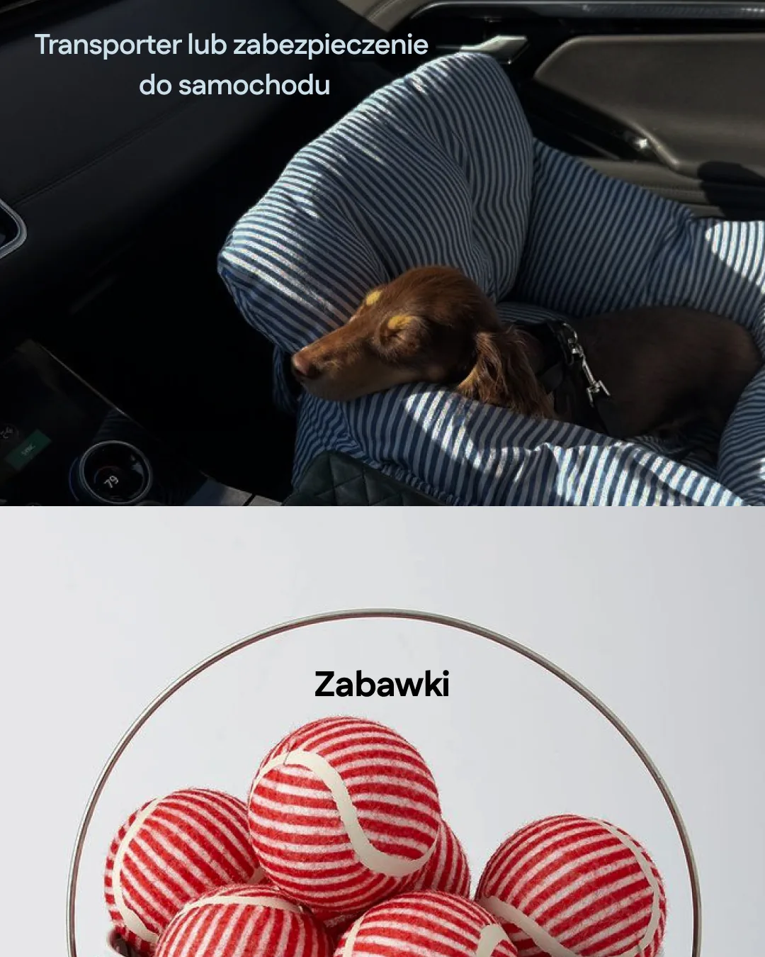 Bezpieczny transporter dla szczeniaka podczas podróży samochodem